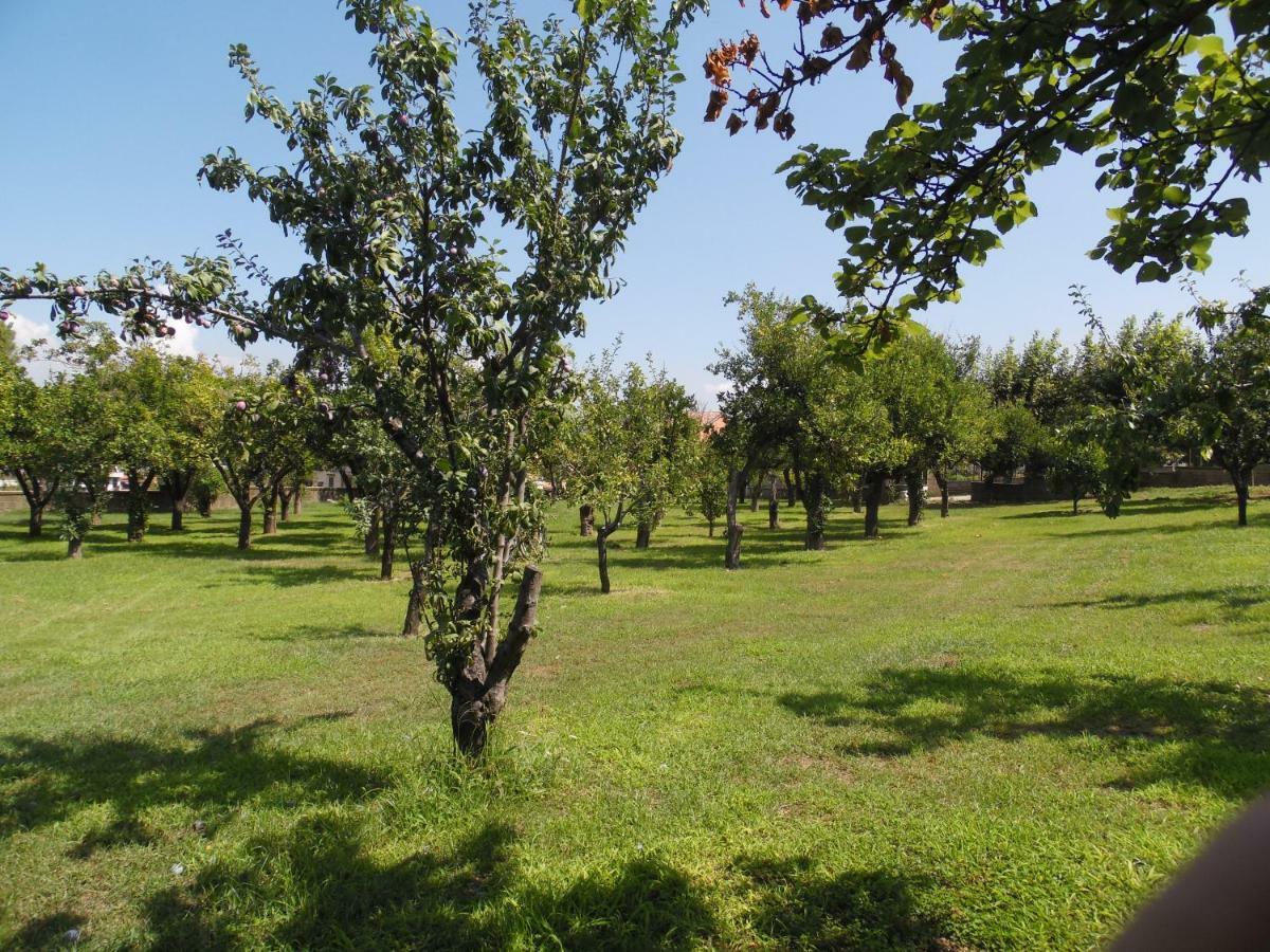 Villa Bianca Кастеламаре ди Стабия Екстериор снимка